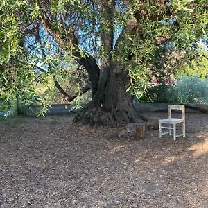 Casa Olea Hébergement de vacances Sorso